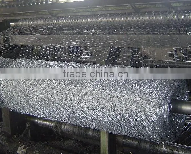 high quality galvanized chicken wire netting hexagonal wire netting poultry mesh