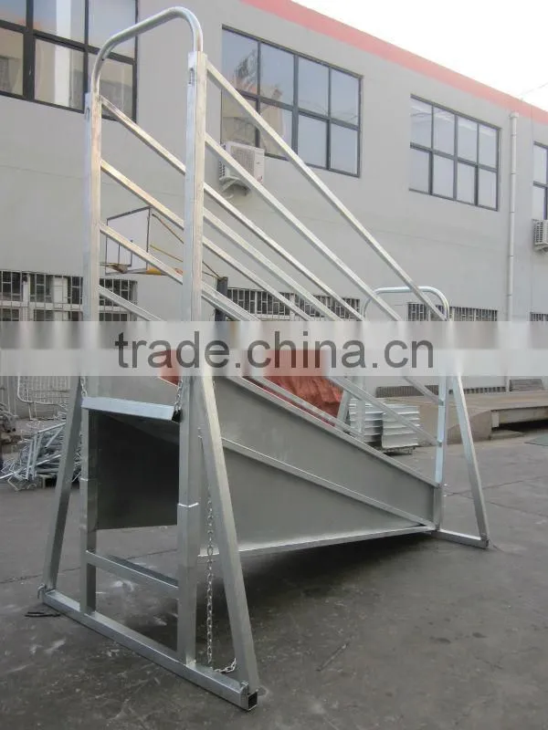 Galvanized handling Cattle loading ramp