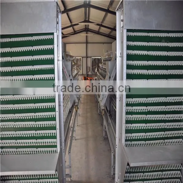 galvanized wire chicken cages for chicken coop