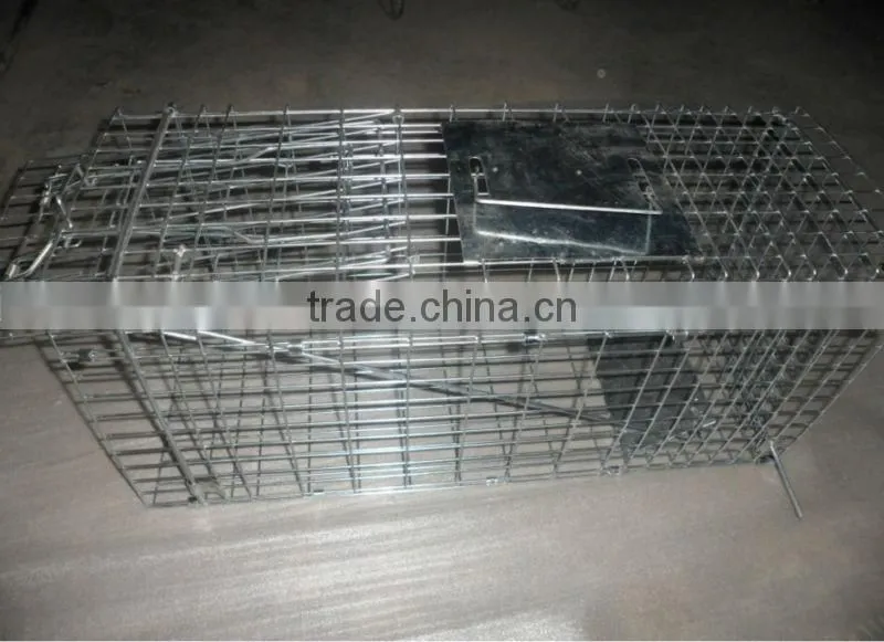 2015 the most popular Live Animal Traps (high quality wit big supply)