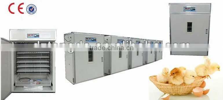 TD-528 full automatic chicken egg incubatrice