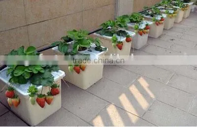 Drip Irrigation Hydroponics System Dutch Bucket for Strawberry