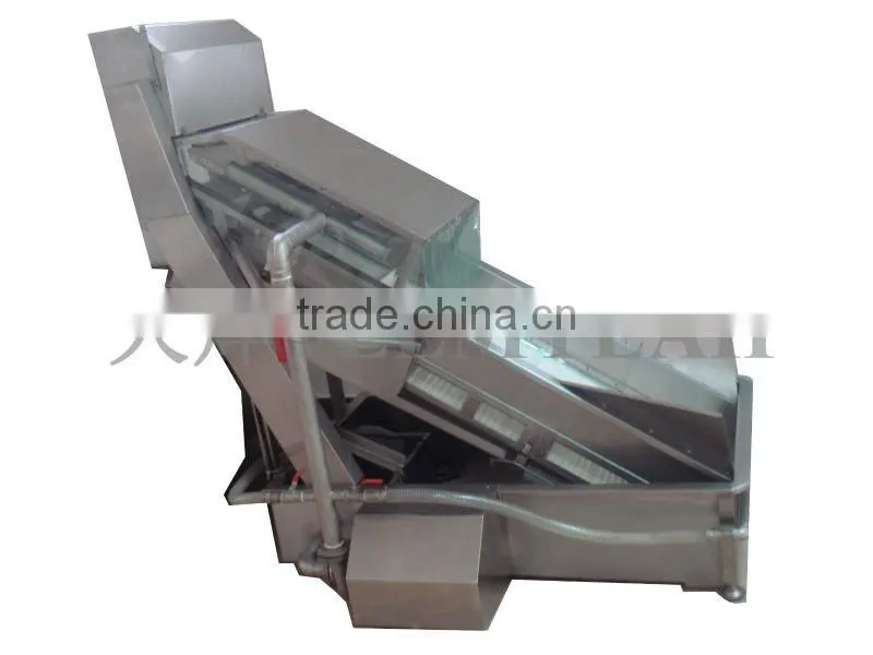 TW-306L Continuously Vegetable Washing Machine (Video) Factory