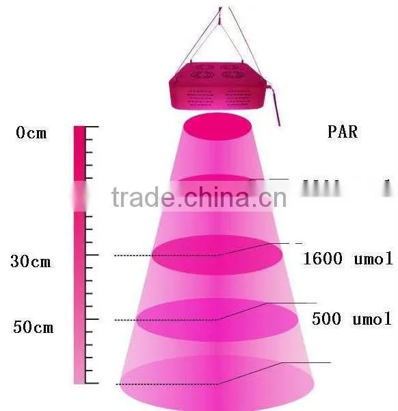 Farm led grow light,growing with led grow lights,full spectrum led 300w