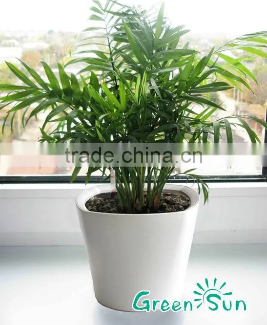 2015 cheap pot for self watering products looking for distributor