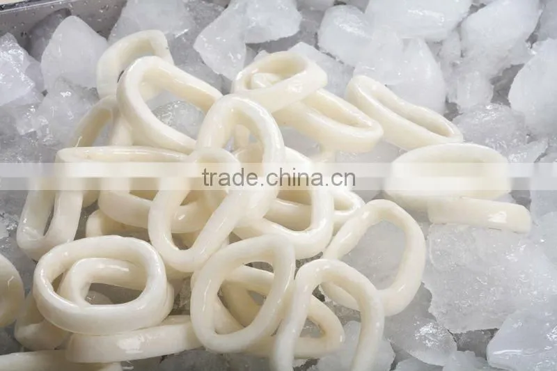 Calamari anello