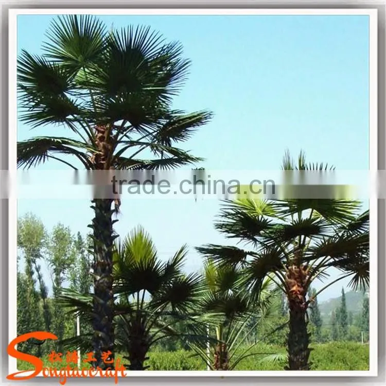 factory wholesale Island decoration plants of Washington palm tree artificial palm tree
