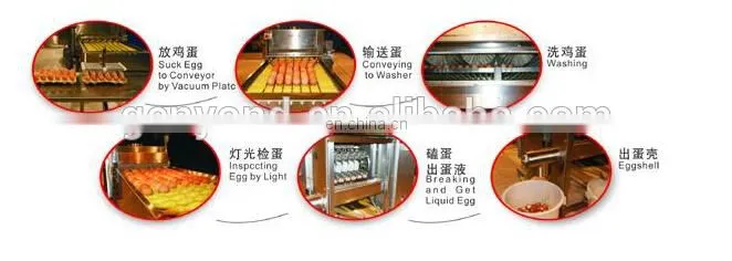 industrial salt egg yolk egg white separator