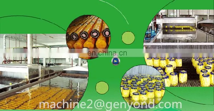 ISO best fruit preserves factory