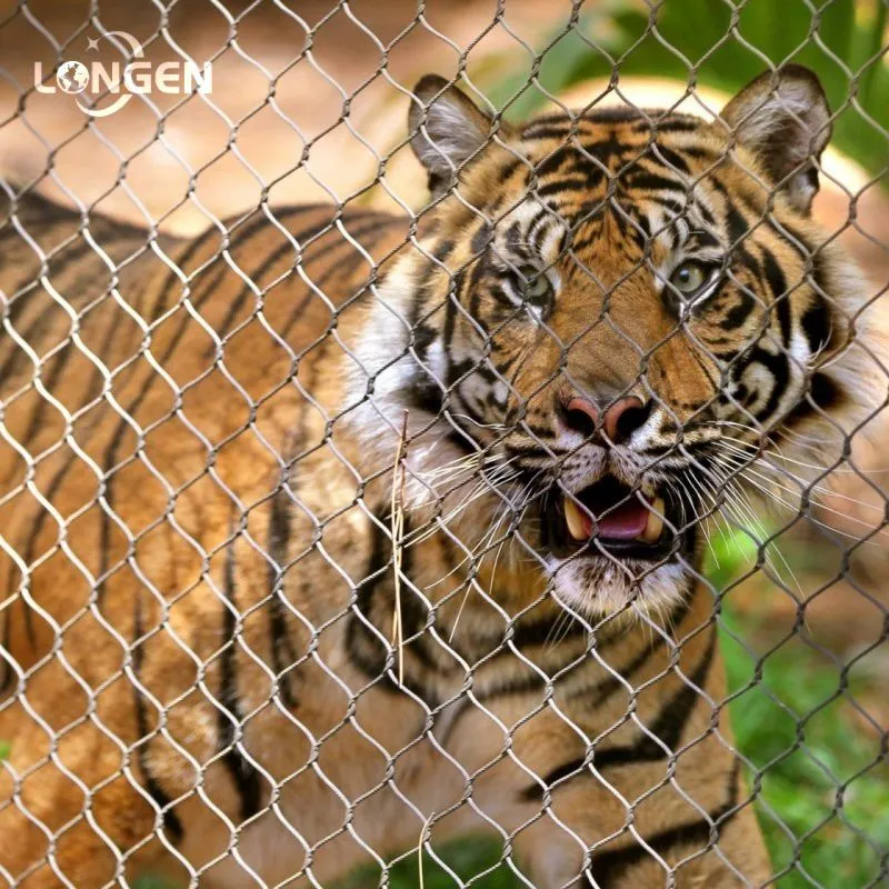 Quais são as vantagens da malha de zoológico em aço inoxidável em comparação com o cercamento tradicional?