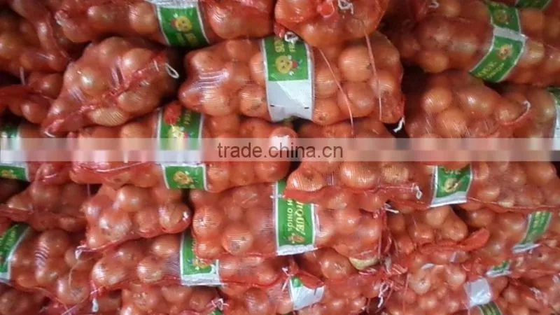 2015 crop fresh yellow onion supplier from China