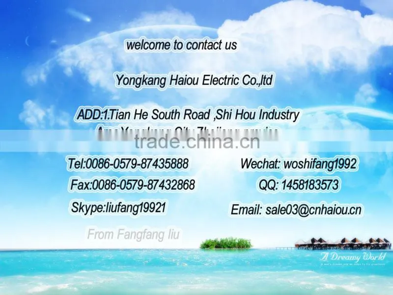 HO-02 Electric automatic rolling machine