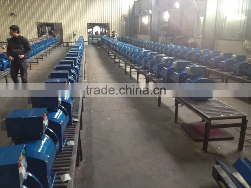 STC Types of Electric Power alternator for Sale