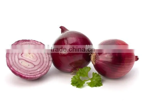 Fresh Red Onion