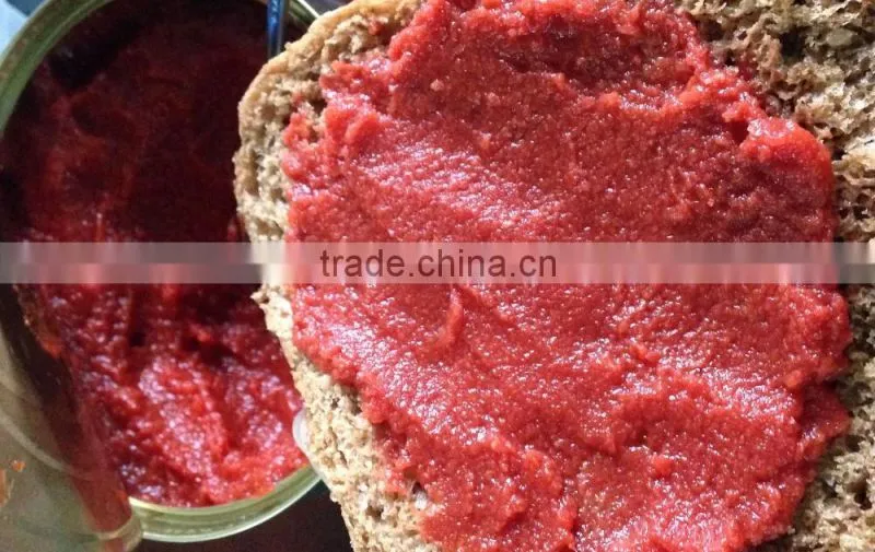 70g~3000g Size Canned Tomato Paste factory 28-30 Brix. Hot Sale In African Market.