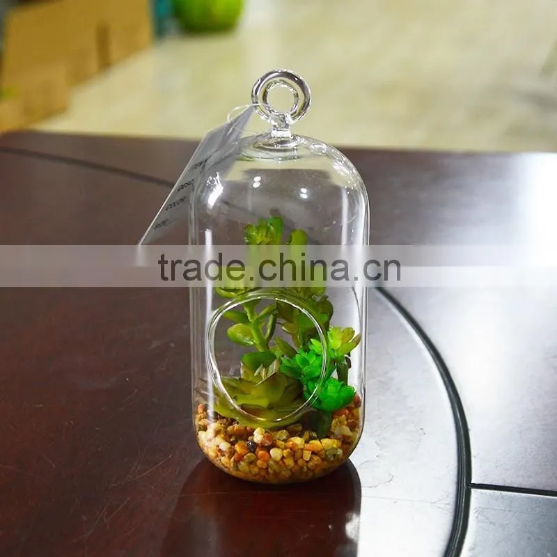 Plastic Succulent Plants Geometric Glass Terrarium Wholesale Container