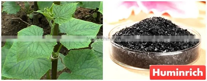 FAQ 2--Potassium Humate Fulvic Acid Fertilizer For Cucumber