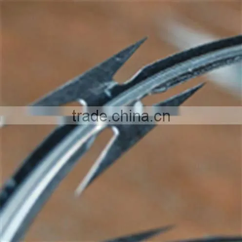 High Security Stainless Steel barbed wire on sale