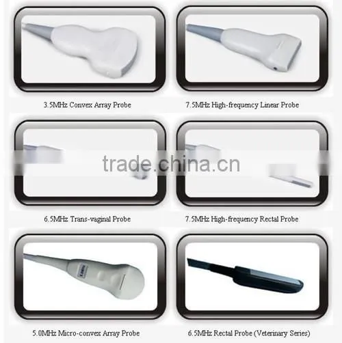 Portable Ultrasonic Diagnostic Devices , Laptop Portable Ultrasound Machine & Ultrasound Scanner