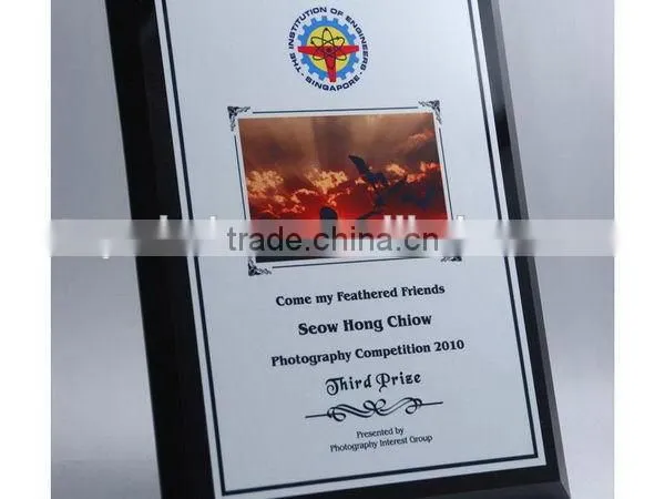 Special new products acrylic paper weight trophy