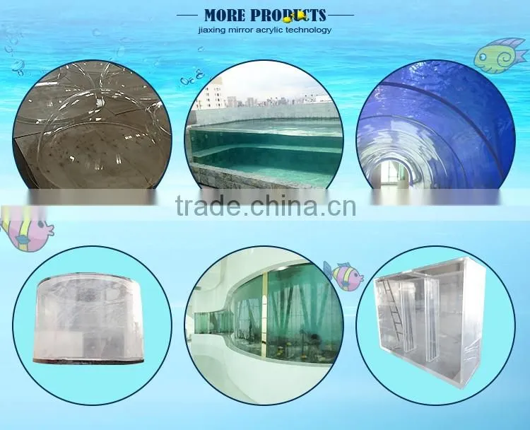 clear plexiglass dome