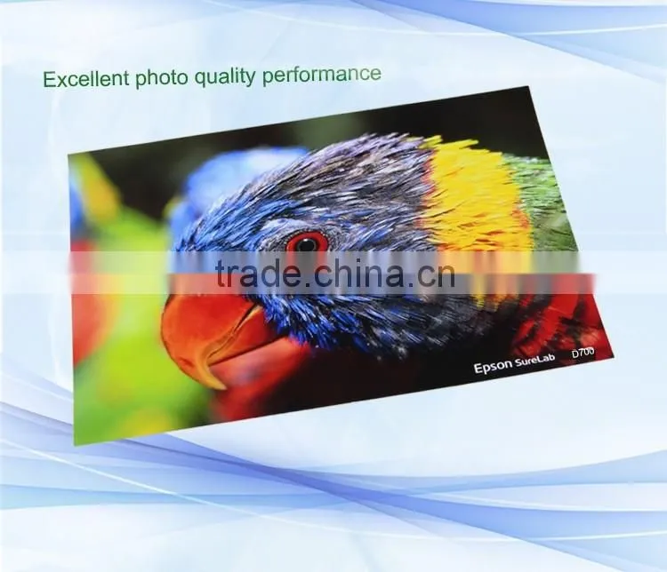 RC Roll Paper waterproof,6"x100m for Epson D3000