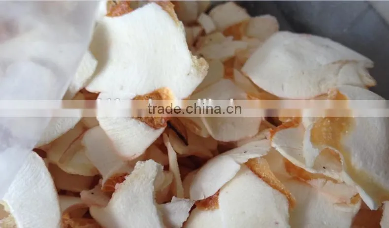 Freeze Dried Squid Pieces