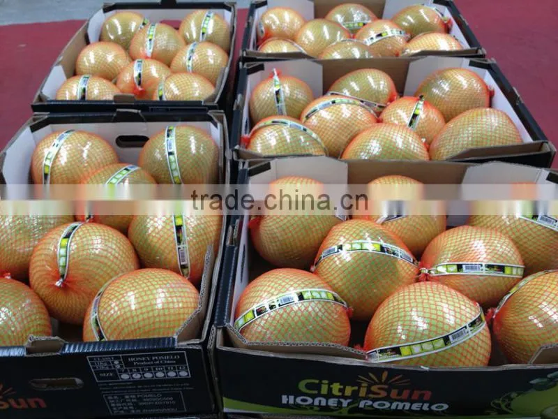 Pomelo from China