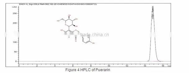 BNP Supply High Quality Radix Puerariae Soft Capsules/Kudzu root Capsules