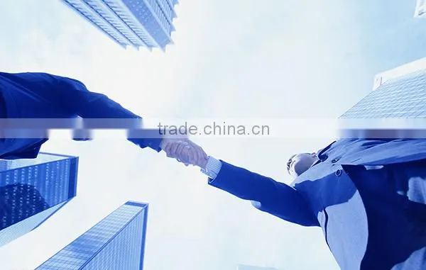 Chinese Traditional Medicine Radix Isatidis(Ban lan gen)
