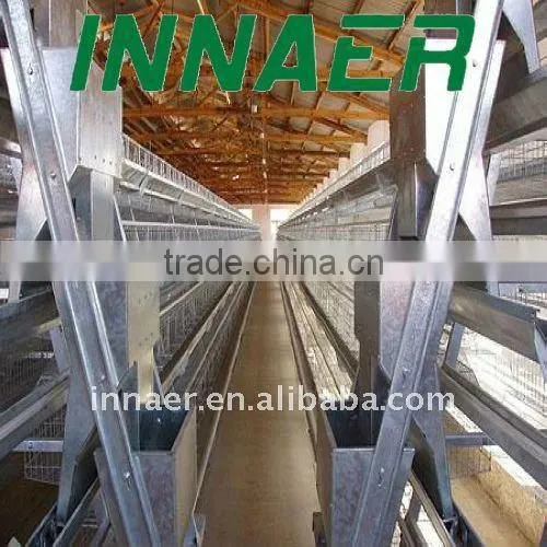 Poultry layers/broilers automatic feeding system