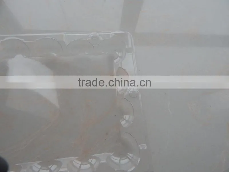 Cheap plastic quail egg blister packaging trays supplier