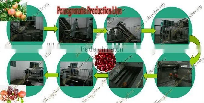 Industrial pomegranate juice machine
