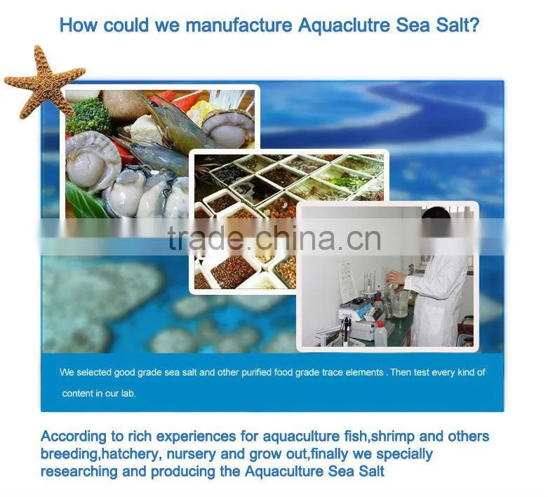 Aquaculture /Lobster Sea Salt For Lobster Tank