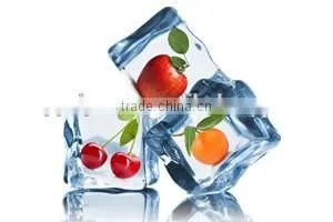 BQ-250 Ice machine built-in Ice Maker/ice making machine/ice machine