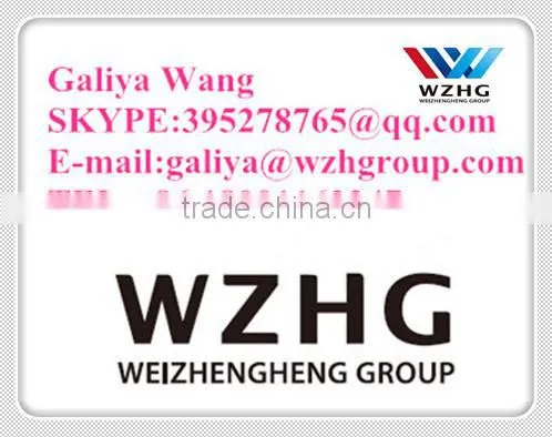 double panel doors / Cleanroom Door /Double Door and Single Door