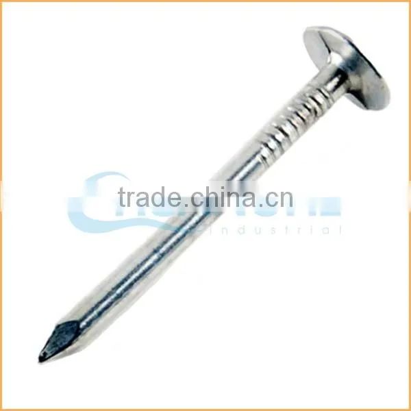 Top quality flat top yellow coated ring/smooth coil roofing nails trusted Chuanghe suppliers from alibaba com