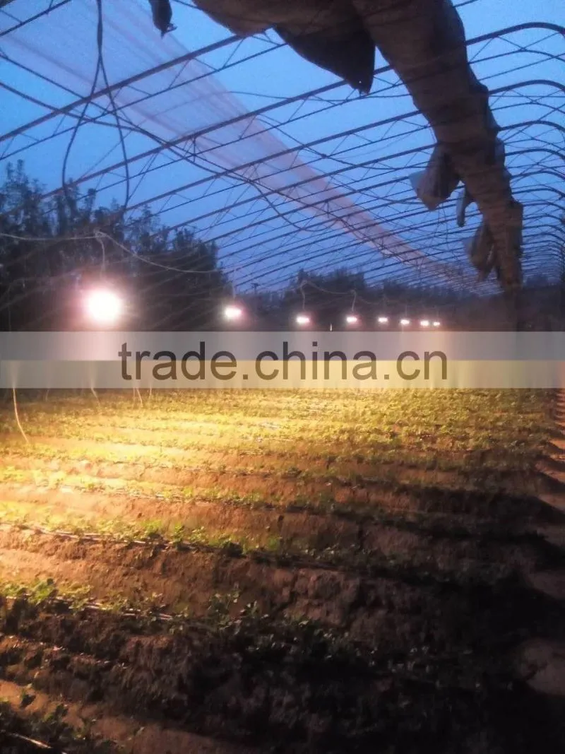 VANQ cob 30w 50w 100w horticultural lamp for indoor greenhouse plant