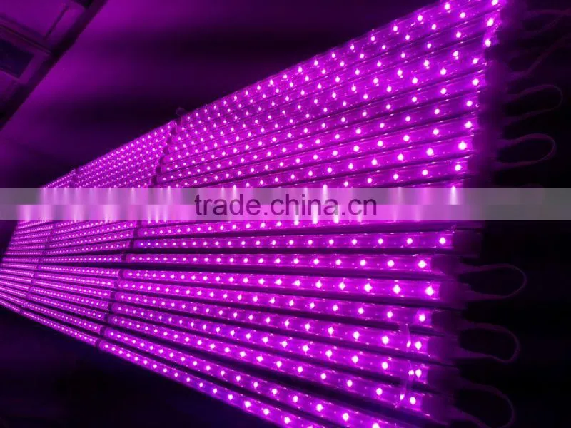 Best seller 10W led grow light tube T8 Bridgelux chip for bamboo seedlings