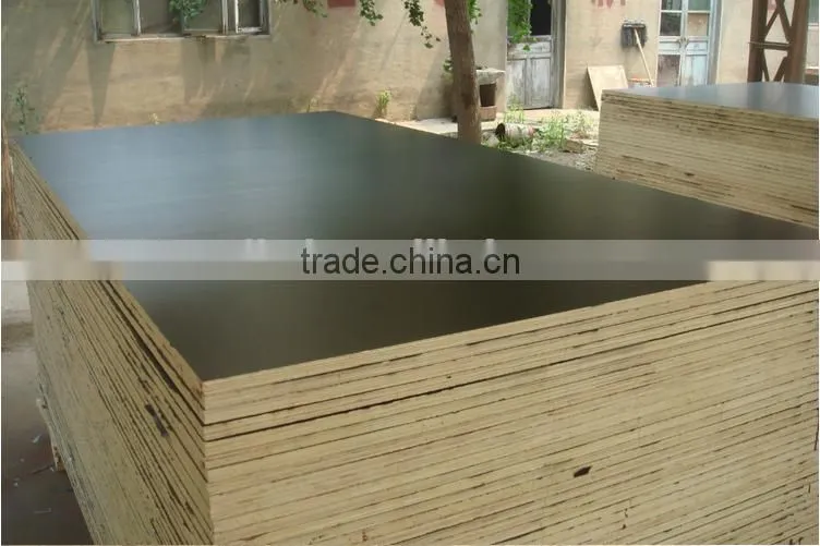Film face plywood Plywood with Competitive price for construction