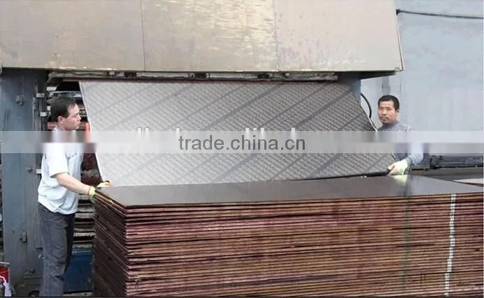 Film face plywood Plywood with Competitive price for construction