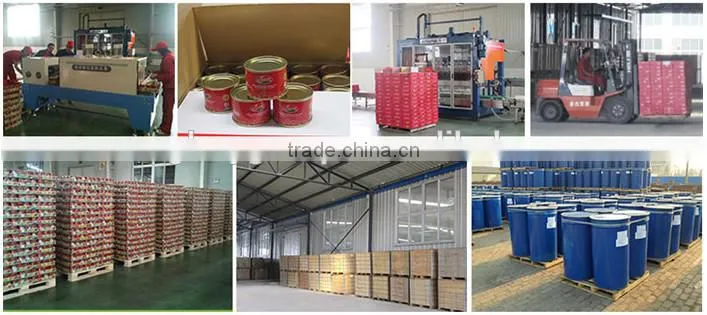 Quality Tomato Paste Manufacturer
