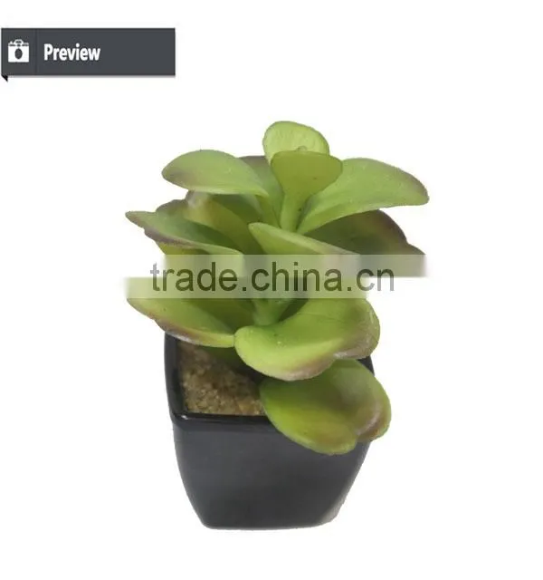 Customized design sweet desert rose for table decoration