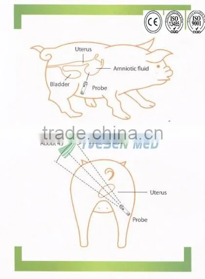 Good price animal pregnancy test equipment horse pregnancy test