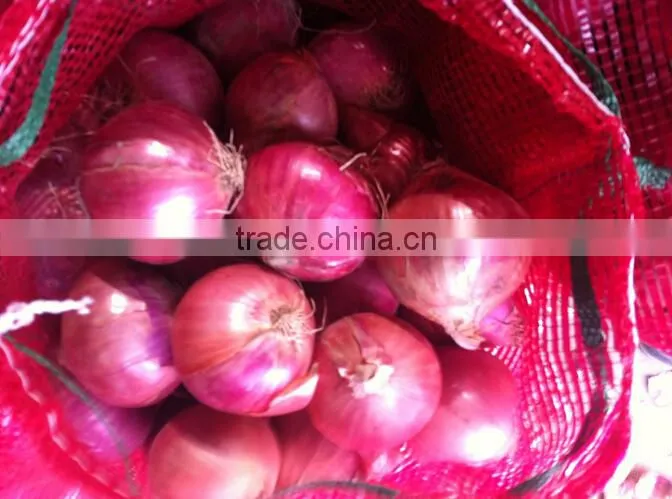 2016 new crops red onion