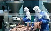 electric Sausage filler Vacuum Filler