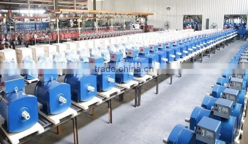 STC 100% Copper Wire Three Phase AC Alternators