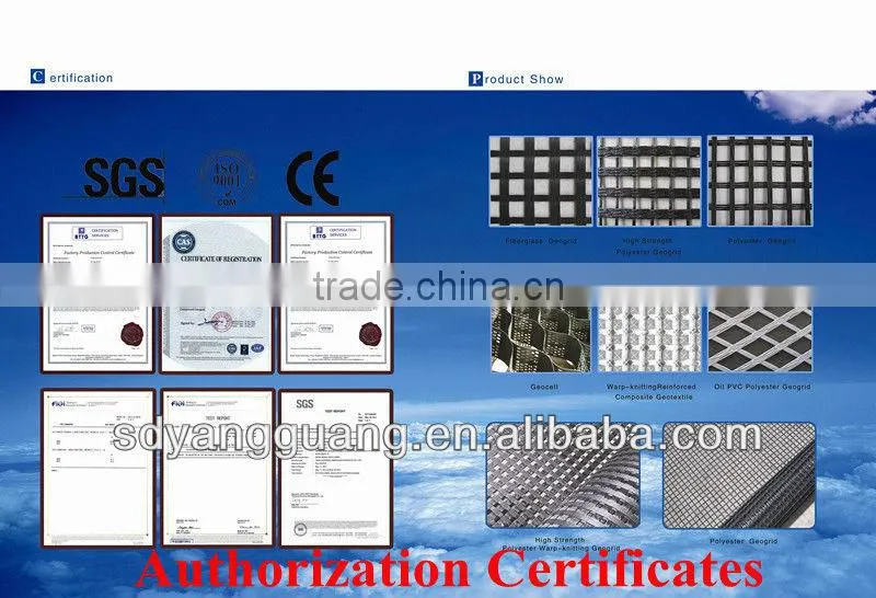 100-30KN/M High quality best price black polyester geogrid
