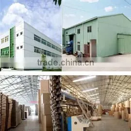 Shanghai Yifan Printing And Packaging Co., Ltd. company overview - view 1
