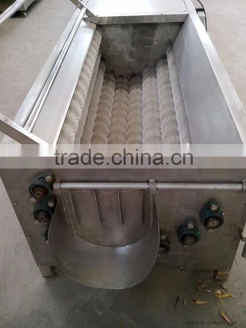Brush type potato washer